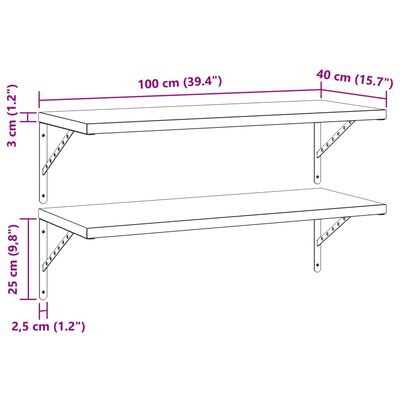 vidaXL Zidne police 2 kom 100 x 40 cm crne nehrđajući čelik