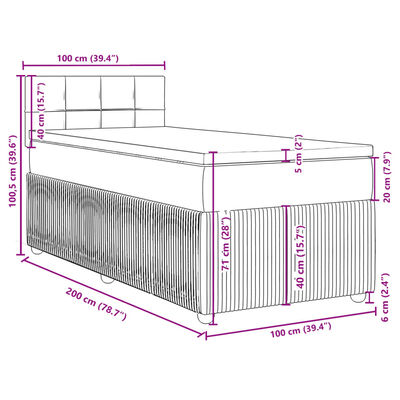 vidaXL Box spring krevet s madracem svjetlosivi 100x200 cm baršunasti