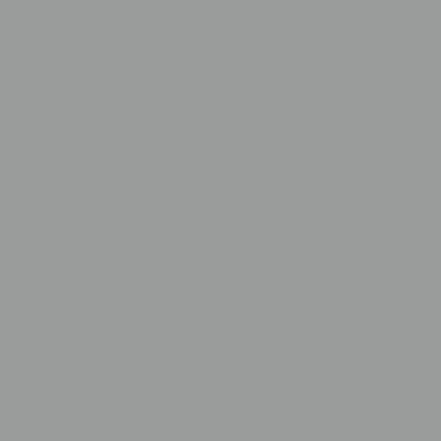 vidaXL Vrtno spremište svjetlosivo 191 x 810 x 198 cm pocinčani čelik