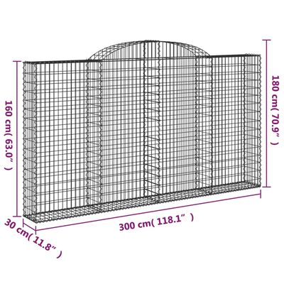 vidaXL Lučne gabionske košare 2 kom 300x30x160/180cm pocinčano željezo