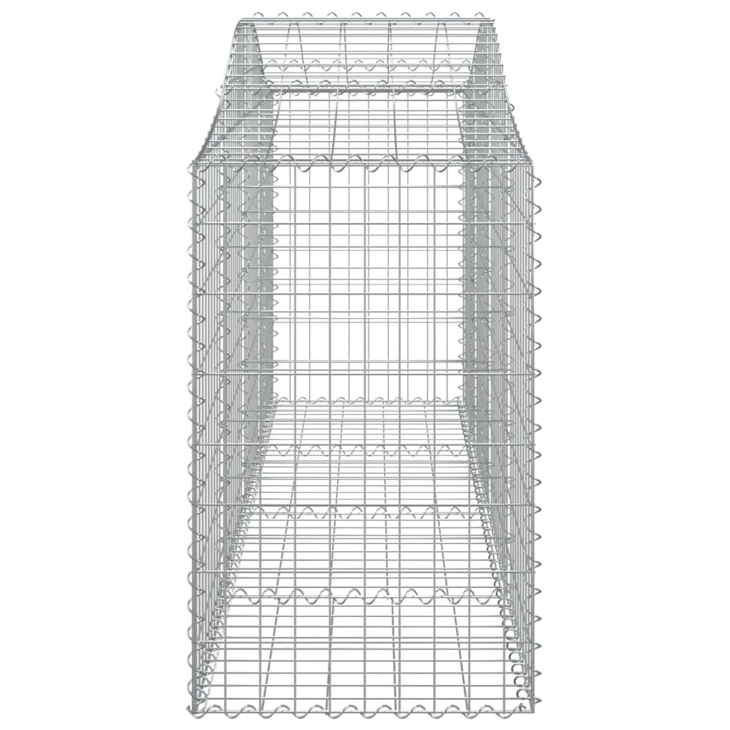 vidaXL Lučne gabionske košare 20 kom 200x50x80/100cm pocinčano željezo