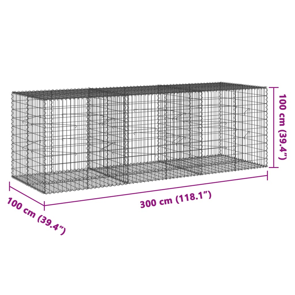 vidaXL Gabionska košara s poklopcem 300x100x100 cm pocinčano željezo