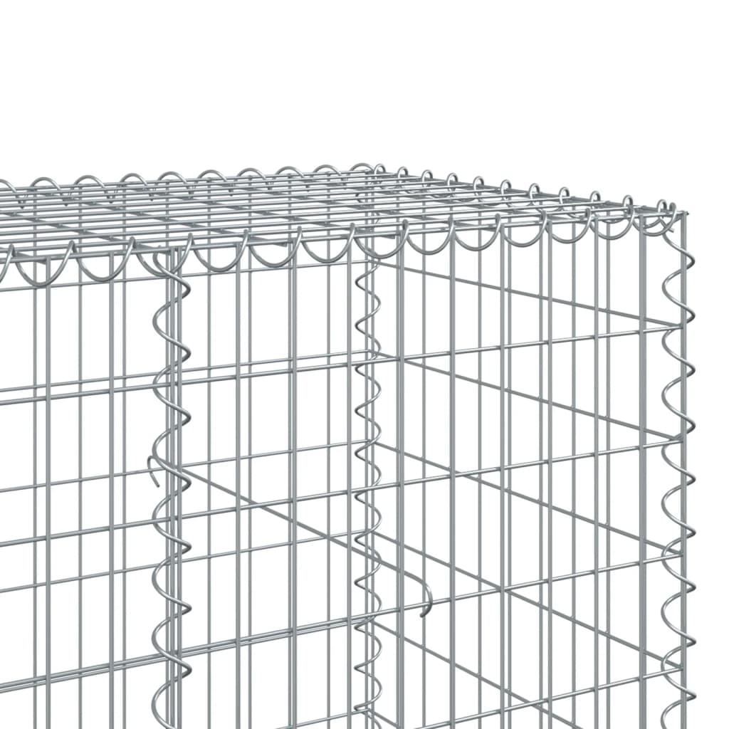 vidaXL Gabionska košara s poklopcem 300x100x100 cm pocinčano željezo